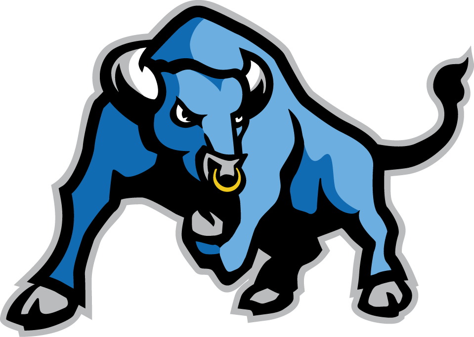 Buffalo Bulls 2007-Pres Alternate Logo iron on transfers for fabric
